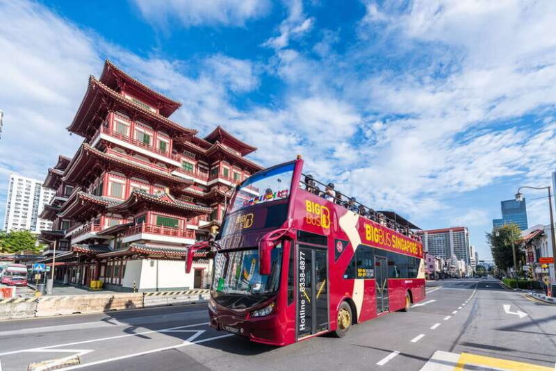 Singapore: Big Bus Hop-On Hop-Off Tour by Open-Top Bus - Key Points