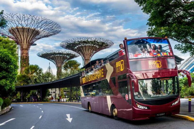 Singapore: Big Bus Hop-On Hop-Off Tour by Open-Top Bus - An Overview of the Big Bus Experience