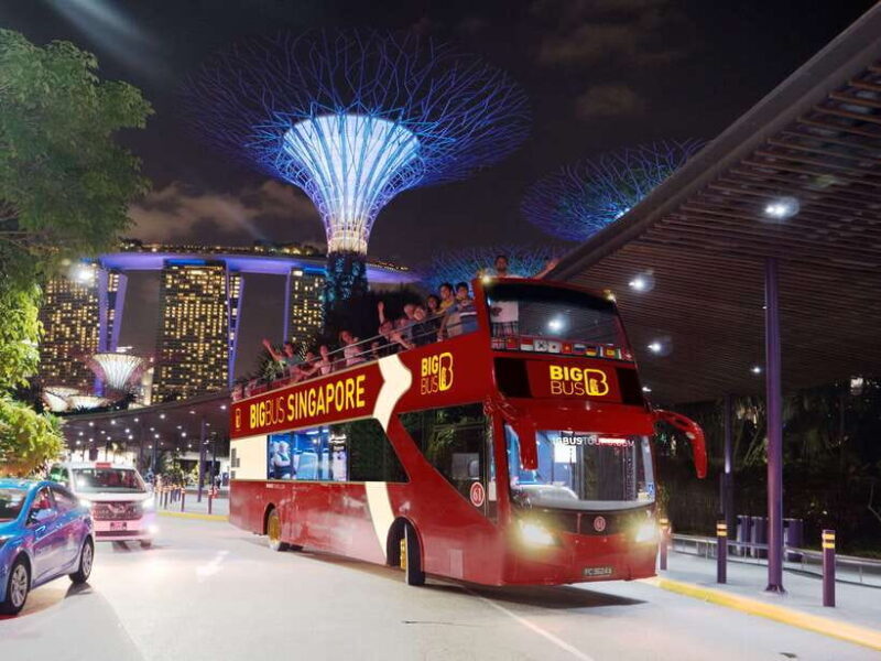 Singapore: Big Bus Hop-On Hop-Off Tour by Open-Top Bus - Final Thoughts: Who Will Love This Tour?