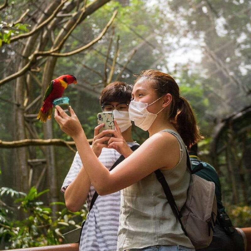 Singapore: Bird Paradise Entry Ticket - Key Points