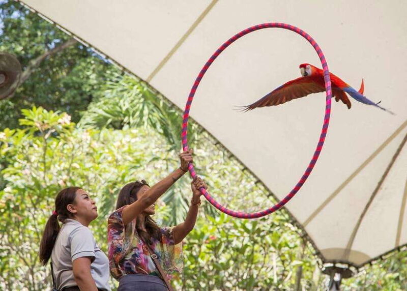 Singapore: Bird Paradise Entry Ticket - The Layout and What to Expect