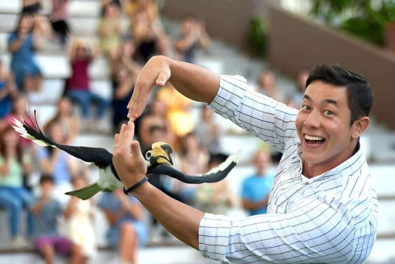 Singapore: Bird Paradise Entry Ticket - Practical Tips for Visiting