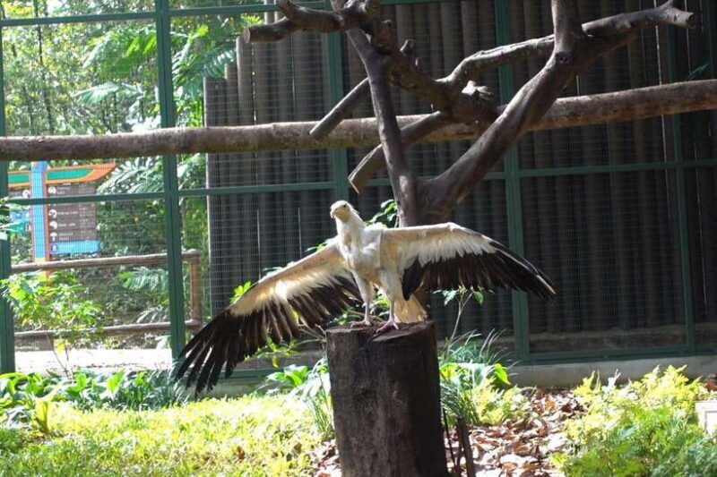 Singapore: Bird Paradise Entry Ticket - FAQ