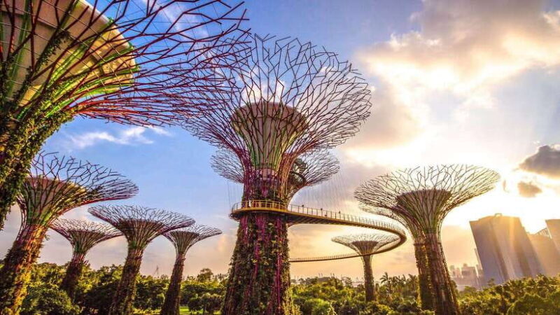 Singapore: City Tour with Cloud Forest and Supertree Tickets - Key Points