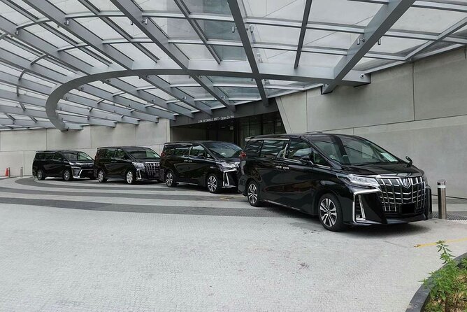 Singapore: City Transfer to Airport/Seaport Terminal - Accessibility Options