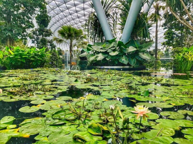 Singapore: Discover Jewel Changi Guided Tour - An In-Depth Look at the Jewel Changi Airport Guided Tour