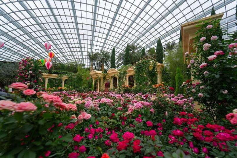 Singapore: Disney Garden of Wonder at Floral Fantasy - Context and Practical Tips
