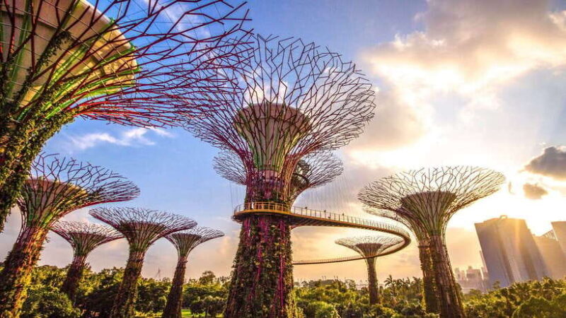 Singapore: Gardens by the Bay Bundle Entry Ticket - The Practicalities: Accessibility, Timing, and Value