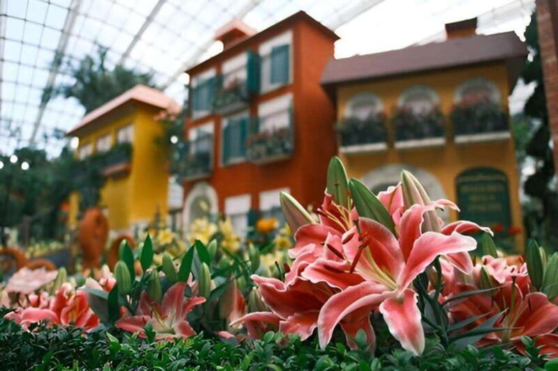 Singapore: Gardens by the Bay Bundle Entry Ticket - The Bonus: Reviews and Real Experiences