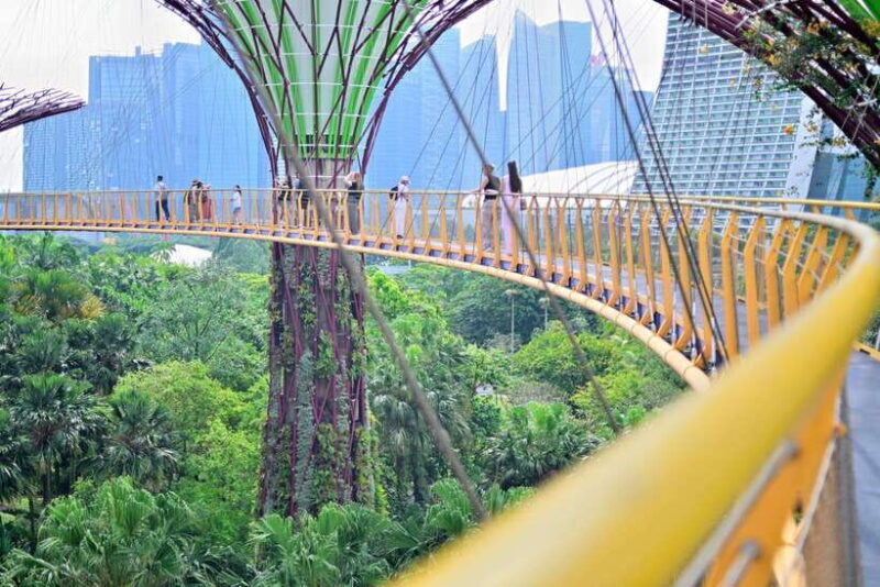 Singapore: Gardens by the Bay Guided Tour/Photography - Practical Details and Considerations