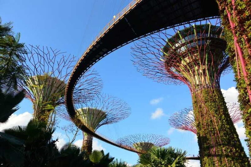 Singapore: Gardens by the Bay Guided Tour/Photography - The Sum Up