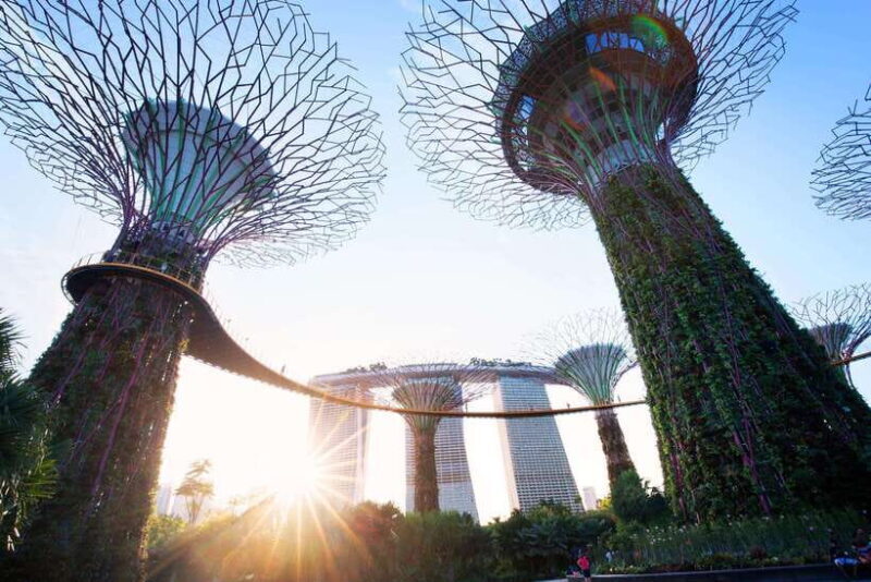 Singapore: Gardens by the Bay Guided Tour - Key Points
