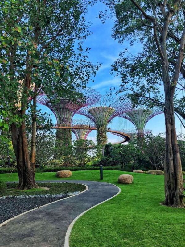 Singapore: Gardens by the Bay Guided Tour - Why Choose the Gardens by the Bay Guided Tour?