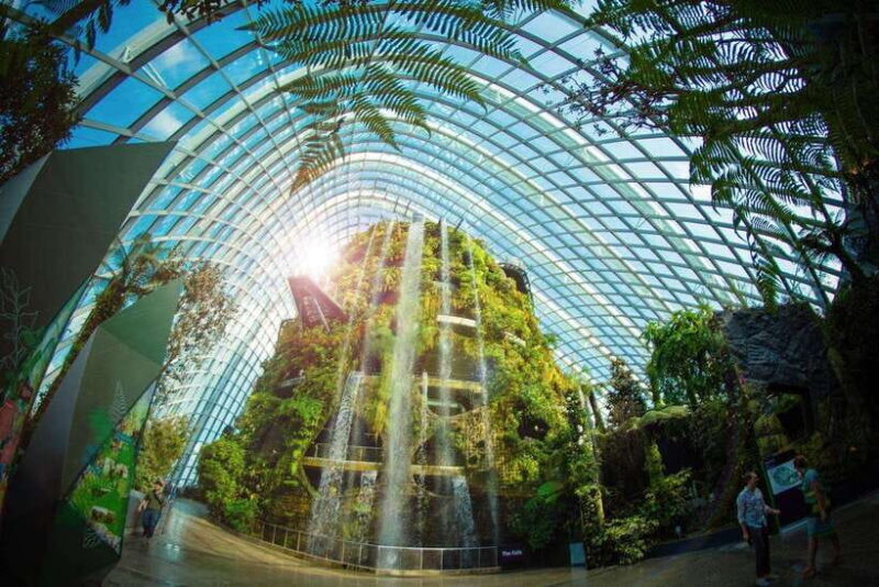Singapore: Gardens by the Bay Guided Tour - Inside the Flower Dome: A Floral Kaleidoscope