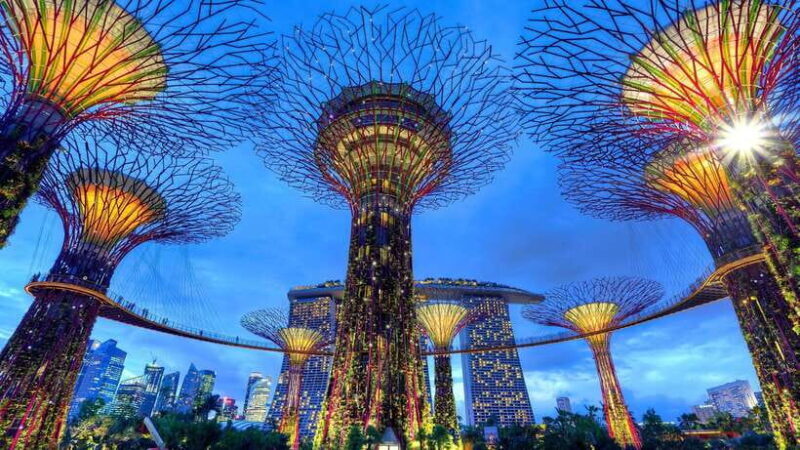 Singapore Gardens by the Bay with Entry Ticket and Pick up - The Final Word