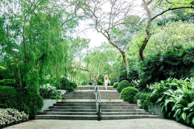 Singapore: Half-Day City Tour with Hotel Transfer - A Taste of the Civic District and Kampong Glam