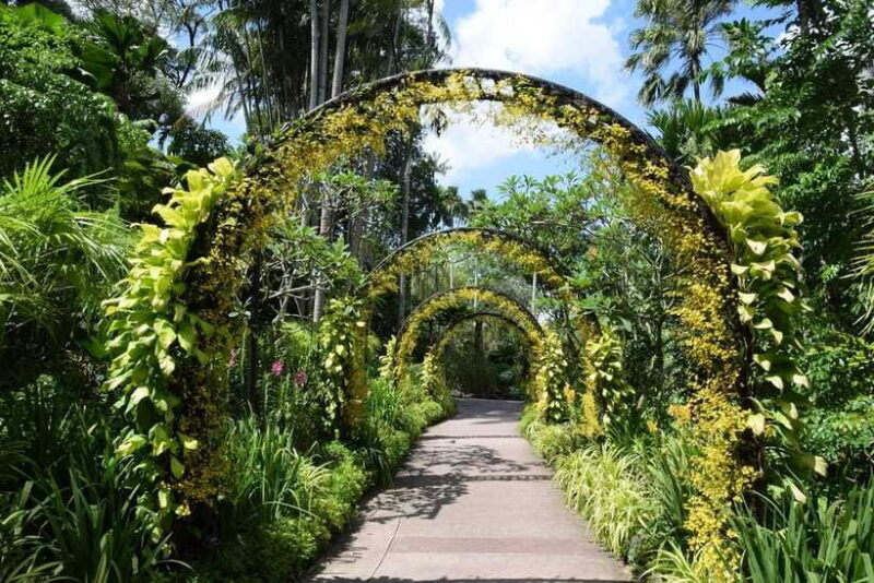 Singapore: Half-Day City Tour with Hotel Transfer - What Reviewers Say