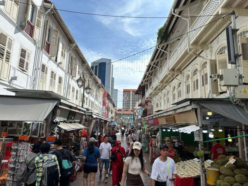 Singapore Limousine Van Tour: Chinatown/Haji Lane/Joo Chiat - A Closer Look at the Itinerary and Experience