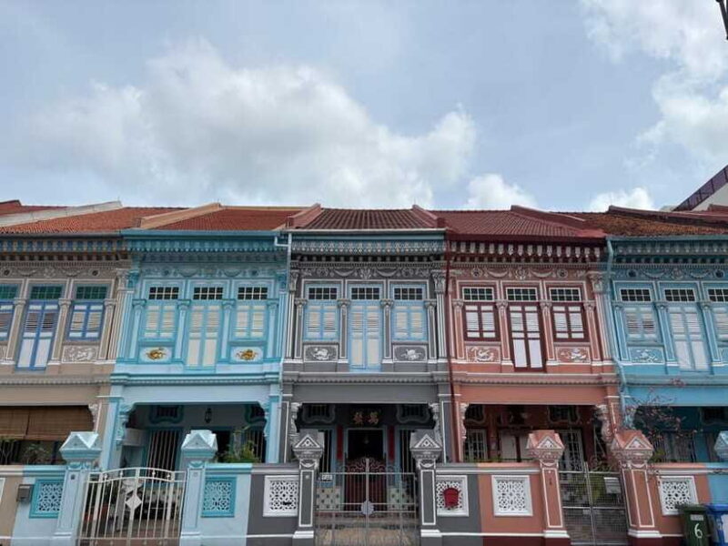Singapore Limousine Van Tour: Chinatown/Haji Lane/Joo Chiat - Final Thoughts