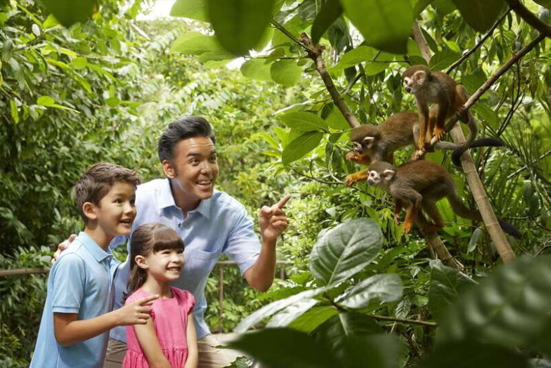 Singapore: Mandai Park Entry with Choice of Attractions - The Sum Up