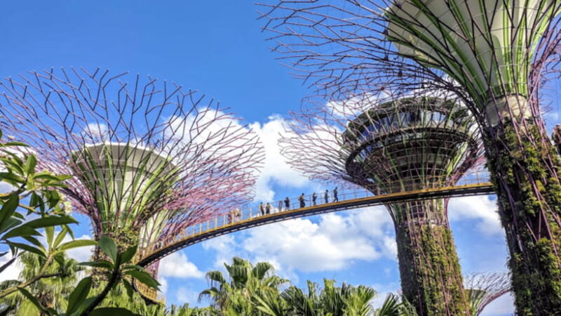 Singapore Morning Tour:Gardens by the Bay & Sentosa Transfer - The Sum Up