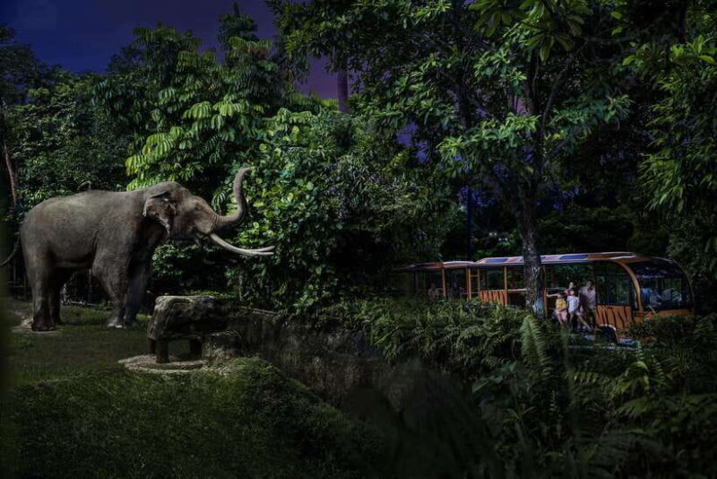Singapore: Night Safari and Tram Ride Ticket - Who Should Consider This Tour?