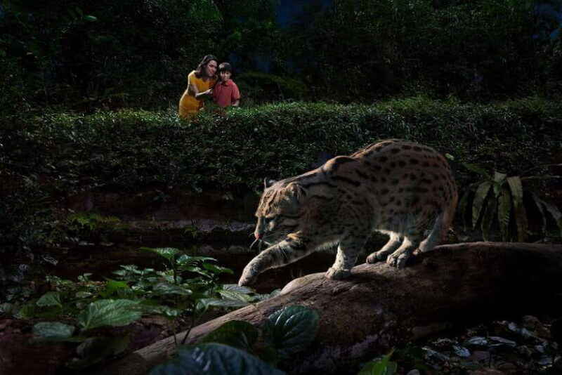 Singapore: Night Safari Singapore w/ Tram - Authentic Experiences and Visitor Feedback