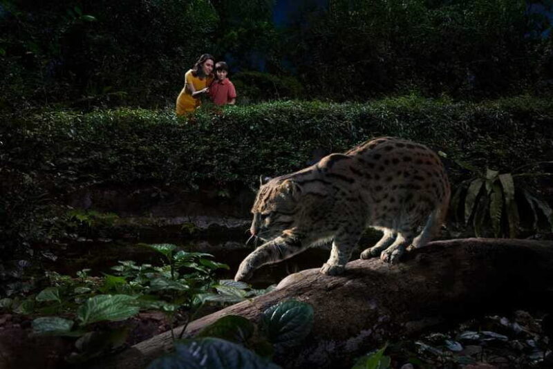 Singapore: Night Safari Singapore w/ Tram - Final Thoughts: Who Will Love This?