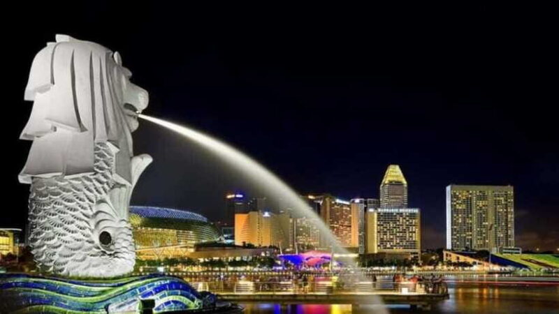 Singapore: Private 3-4-6-8 Hour Customized Singapore Tour - Who Should Consider This Tour?