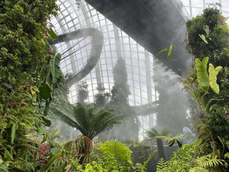 Singapore: Private Customized Tour with transportation - An In-Depth Look at the Tour Experience
