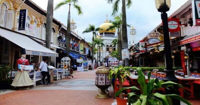Singapore: Private Full-Day Island Tour - A Detailed Look at the Singapore Private Full-Day Tour