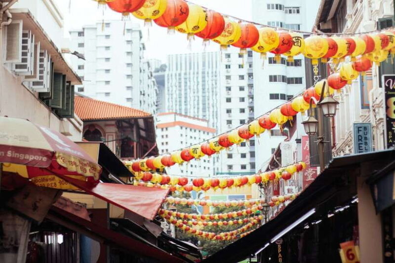 Singapore: Private Tour w/ Locals  Highlights & Hidden Gems - Who Will Benefit Most?