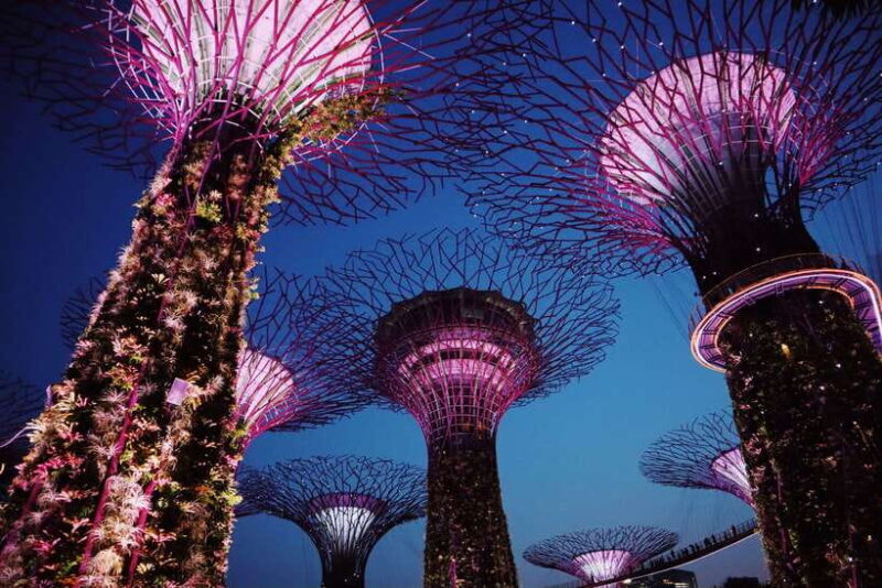 Singapore: Private Tour with a Driver - A Closer Look at the Tour Experience