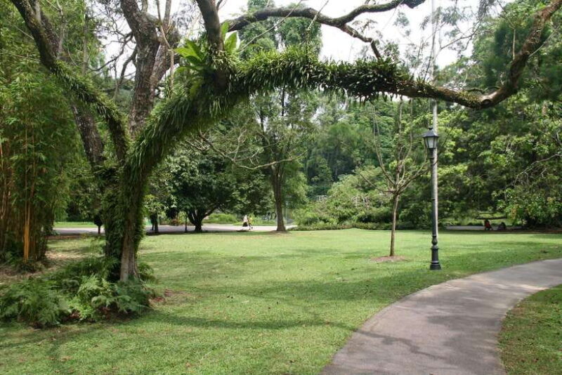Singapore: Private Tour with a Driver - The value proposition