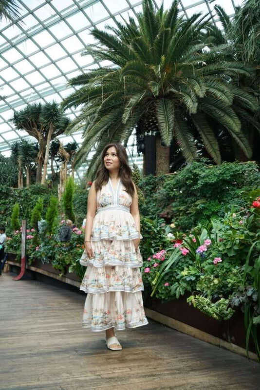 Singapore: Professional photoshoot at Gardens by the Bay - Key Points