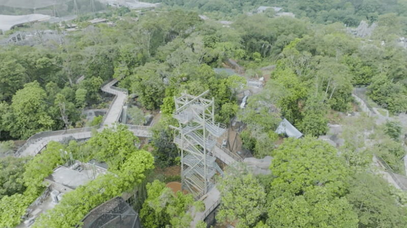 Singapore: Rainforest Wild Asia Entry Ticket - Wildlife Encounters: What You’ll See