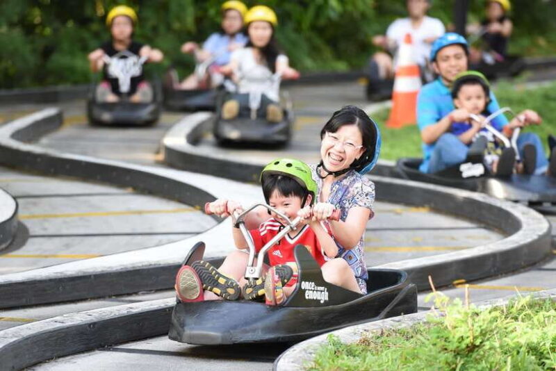 Singapore: Skyline Luge Sentosa Tickets - The Luge Tracks: Jungle and Dragon Trails