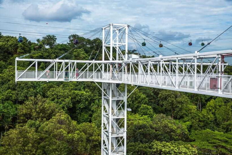 Singapore: Skypark Sentosa by AJ Hackett - Why This Tour Works