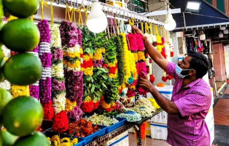 Singapore: Street Food & Ethnic Quarters Kick Scooter Tour - Potential Considerations