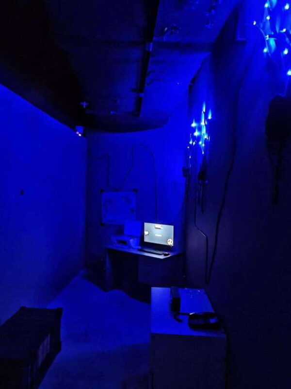Singapore: Trapped Escape Room Entry Ticket - Who Will Enjoy This Experience?