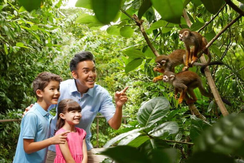 Singapore Zoo: 1-Day Entrance E-Ticket - What to Expect at the Singapore Zoo