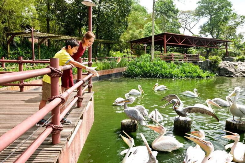 Singapore Zoo: 1-Day Entrance E-Ticket - Practical Tips for Visiting
