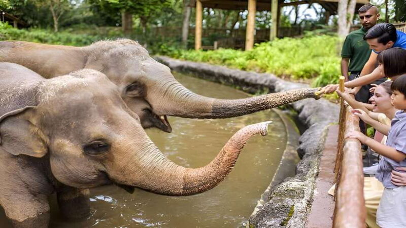 Singapore Zoo: 1-Day Entrance E-Ticket - The Sum Up