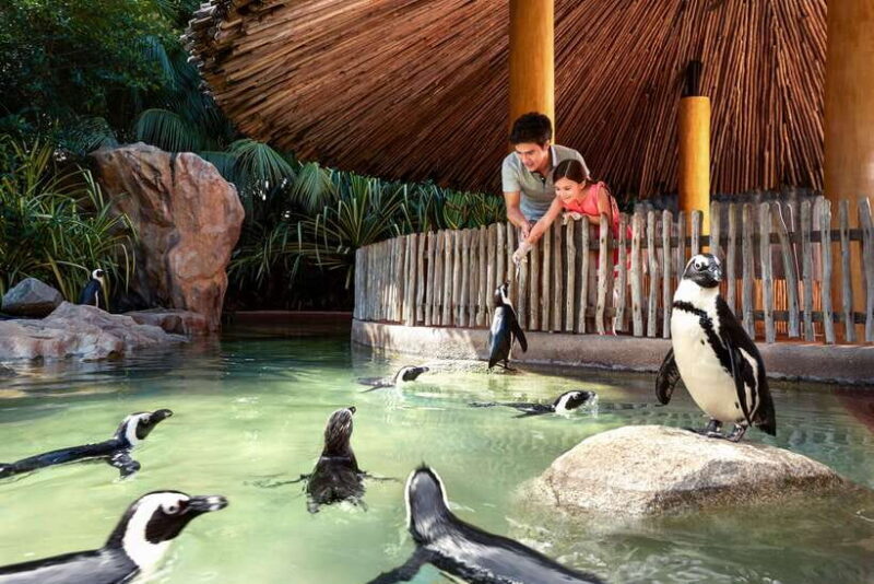 Singapore Zoo: 1-Day Entrance E-Ticket - FAQs