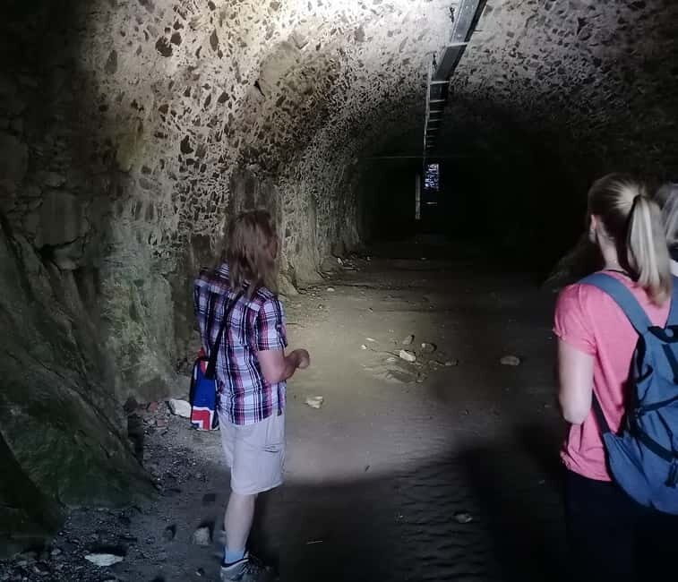 Singen: Guided tour of the Hohentwiel fortress ruins with a castle researcher - Why This Tour Offers Great Value