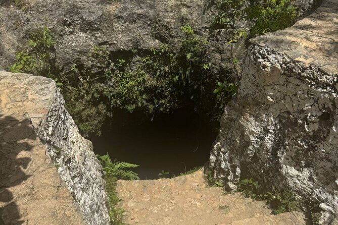 Single ATV, Cenote and Ziplines from Cancun - Frequently Asked Questions