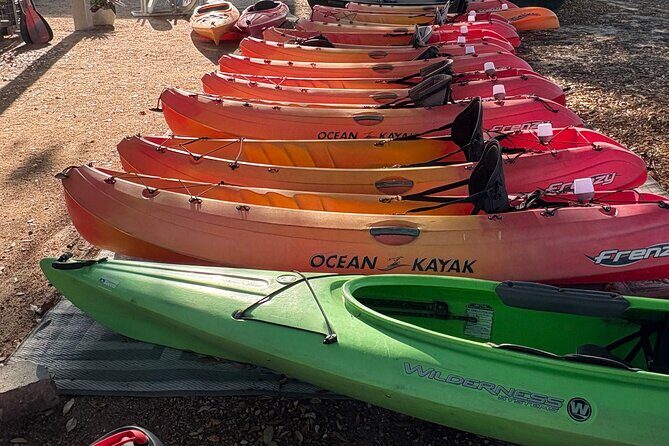 Single Kayak Rental - Key Points