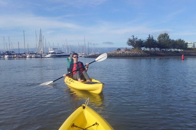 Single Kayak Rental in Redwood City - Why Choose This Kayak Rental?
