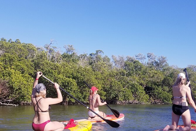 Single Kayak Rental on Big Hickory Pass - Accessibility and Participation Information