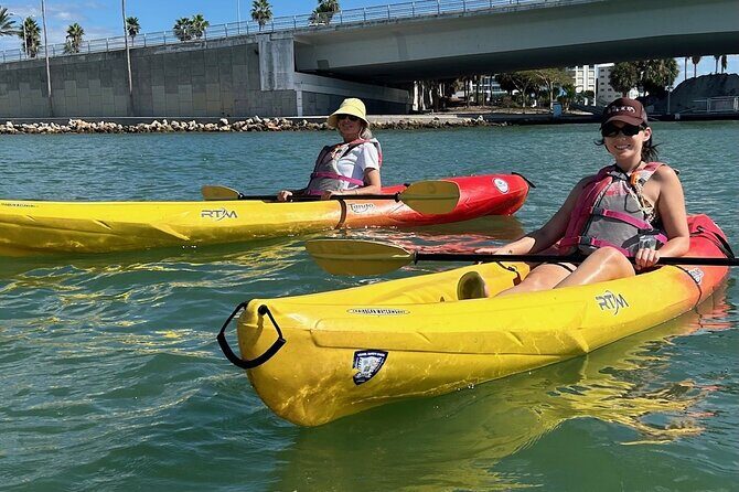 Single Kayak Rentals at The Bay - An Overview of the Kayak Rental Experience